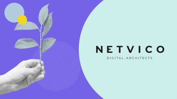 We celebrate a new collaboration with Netvico, our returning client!